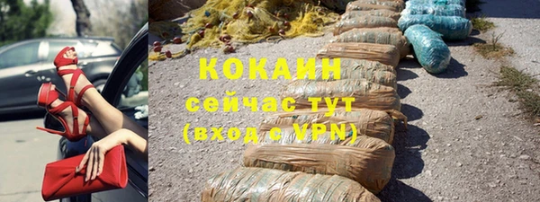 шишки Алексин