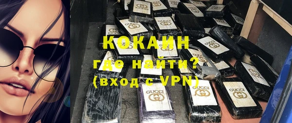 шишки Алексин