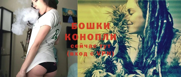 ПСИЛОЦИБИНОВЫЕ ГРИБЫ Алзамай