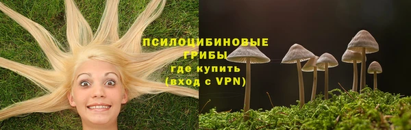 шишки Алексин
