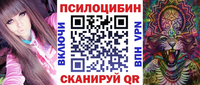 дарк нет наркотические препараты  где купить наркоту  Нижнеудинск  Псилоцибиновые грибы прущие грибы 