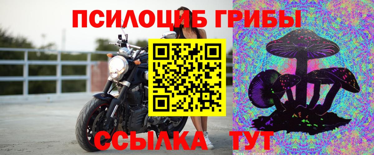 Галлюциногенные грибы прущие грибы Нижнеудинск